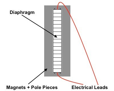 Brauchen Mikrofone Magnetismus, um richtig zu funktionieren? 3 Dynamische Bändchenmikrofon-Wandlerelemente