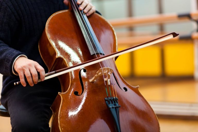 Los mejores micrófonos para viola