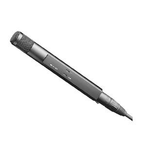 Was ist ein bidirektionales oder Achtermikrofon? 11 Sennheiser MKH30
