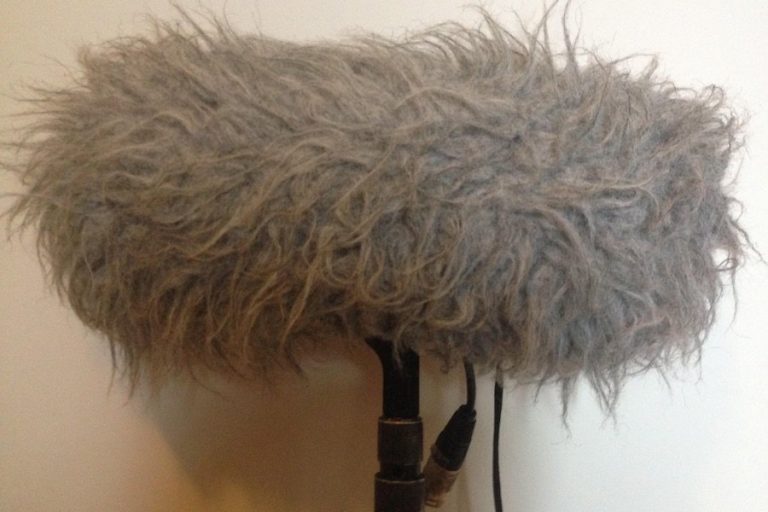 I migliori parabrezza per microfono